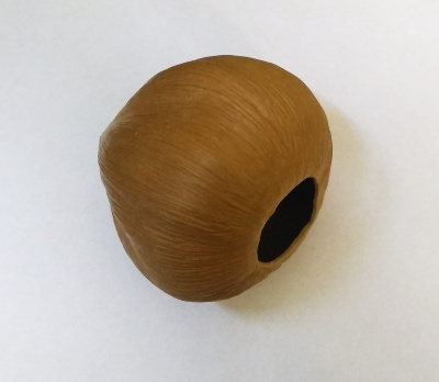 Кокос средний